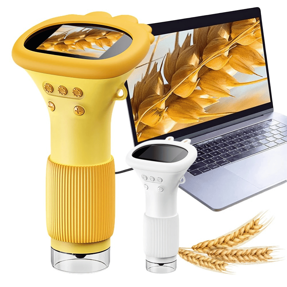 Yellow and white magnifying glasses with a laptop displaying wheat images on a white background